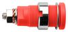 SCHUTZINGER SEB 6445 NI / RT