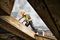 DEWALT WORKWEAR PRO TRADESMAN 30/31